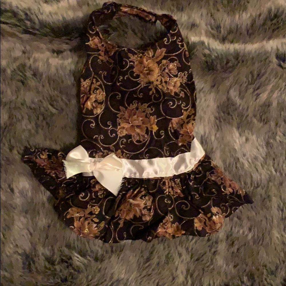 Pet dress